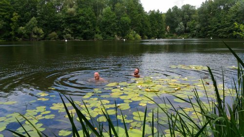 Naked Swimming at Teufelssee with Bears